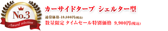 第3位 カーサイドタープ シェルター型