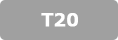 T20