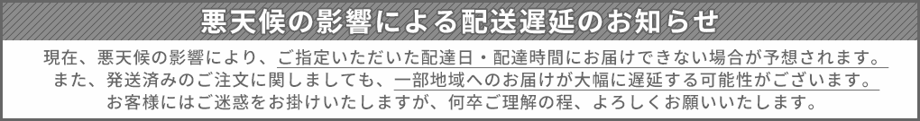 悪天候遅延